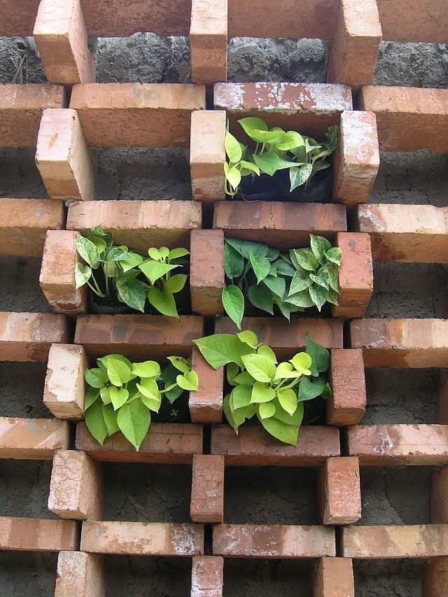 Dinding bata  ekspos  alami dan eksotis Exposed brick wall 